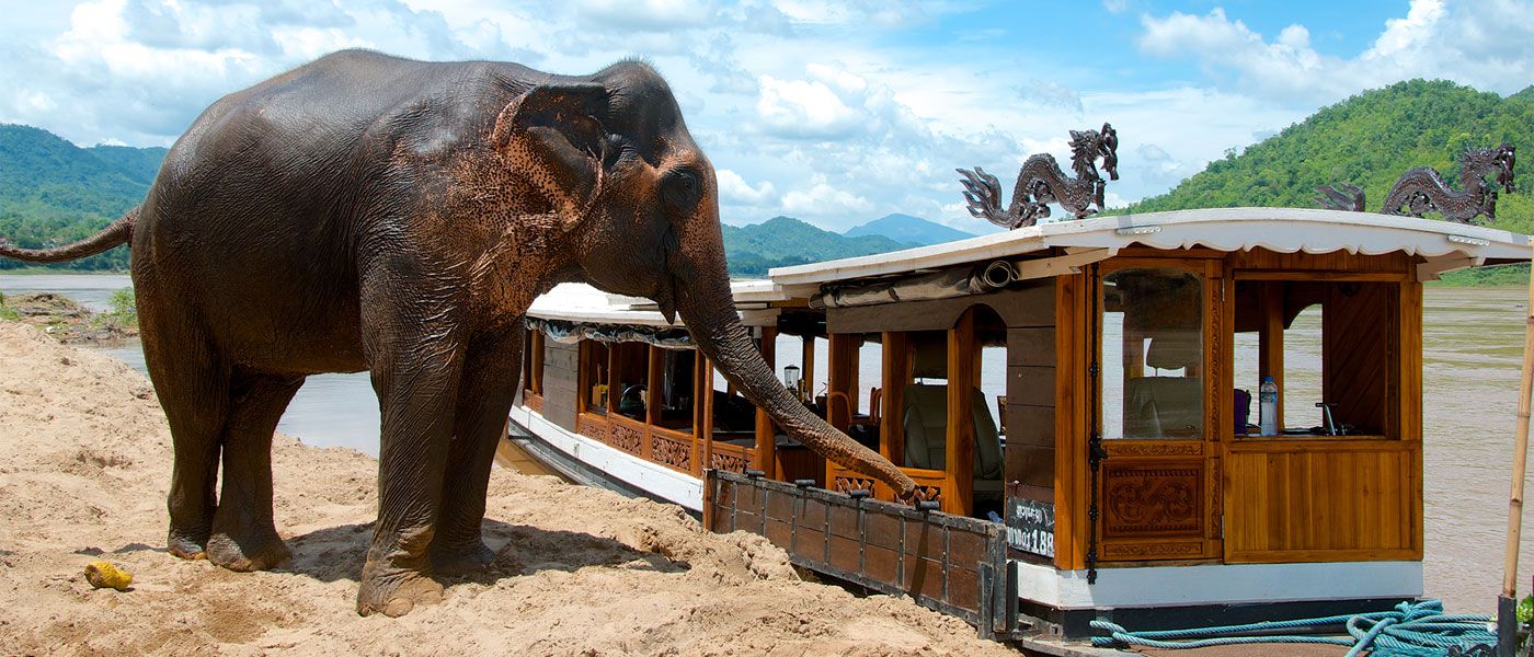 Luxury & adventure cruise in Mekong River Loas